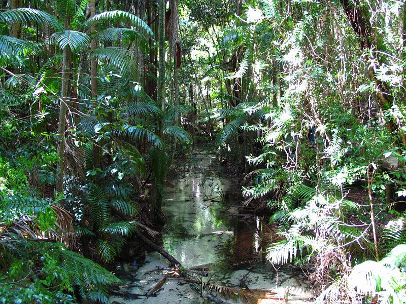 Fraser Island (9).jpg